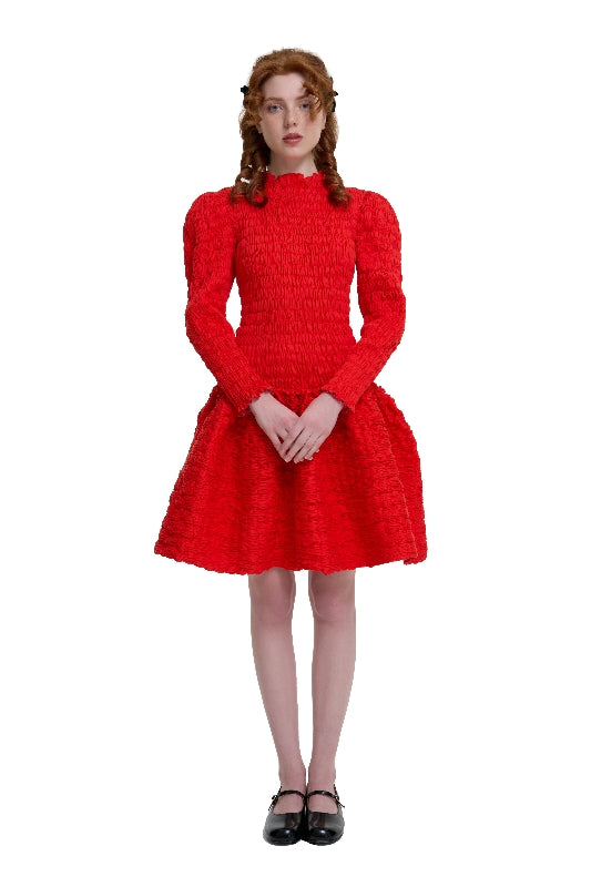 Scarlet Shirred Dress